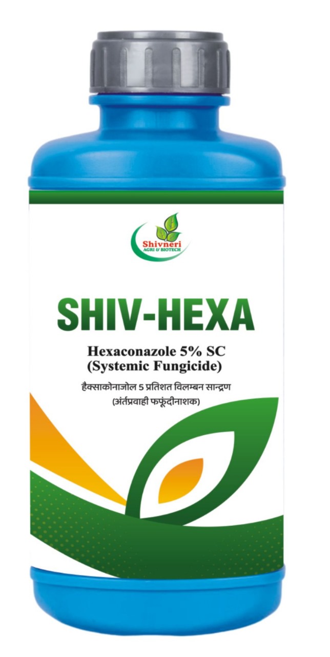 Shiv-Hexa