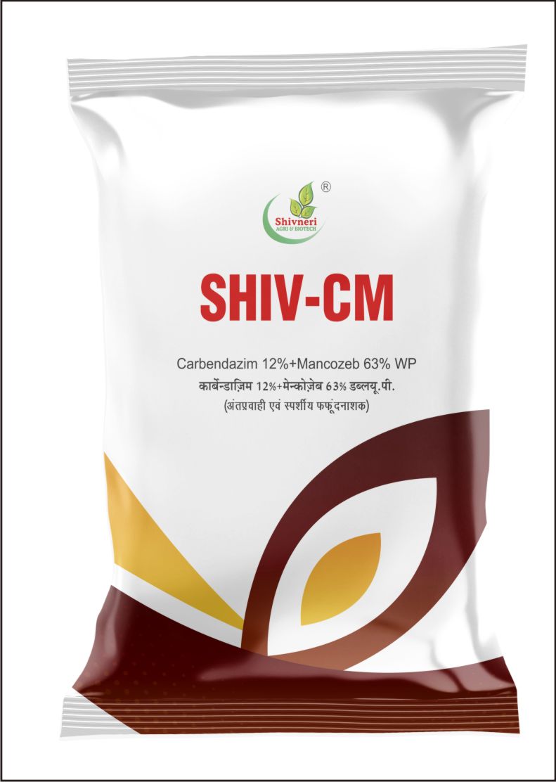 Shiv-Cm