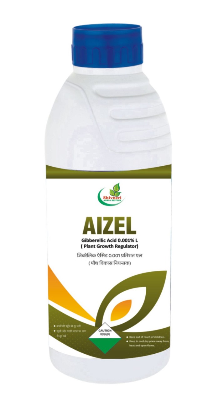 AIZEl